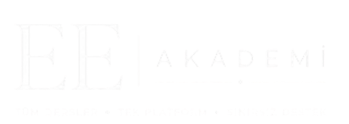 EE Akademi